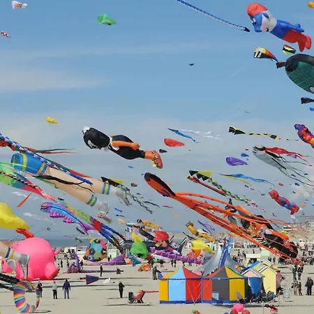 Precioso En Berck-plage Con Wifi Berck