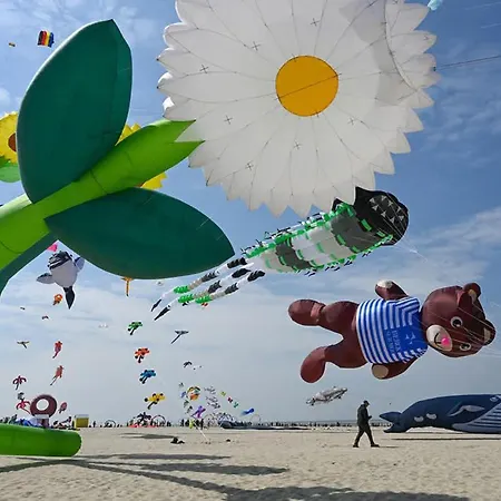 Precioso En Berck-plage Con Wifi
